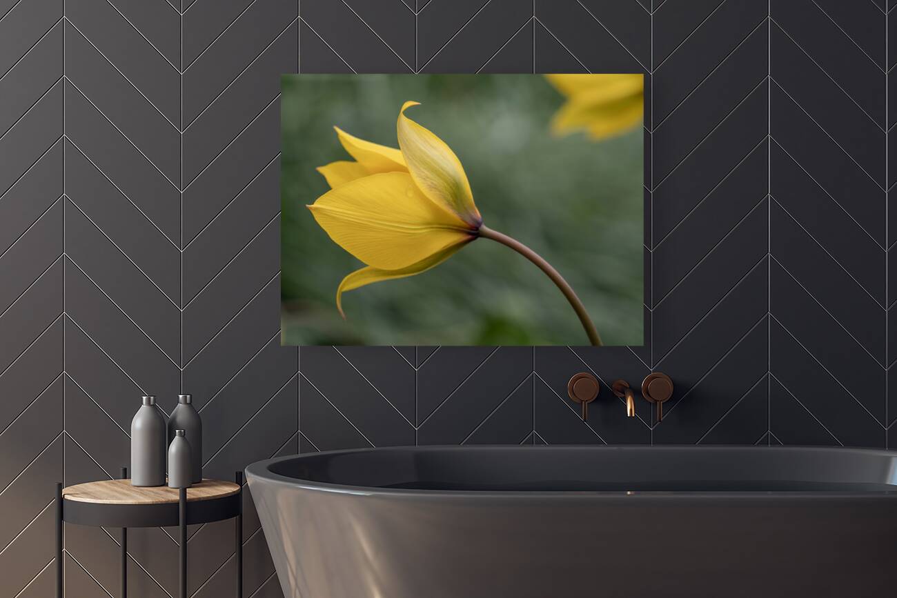 That Way Reproduction