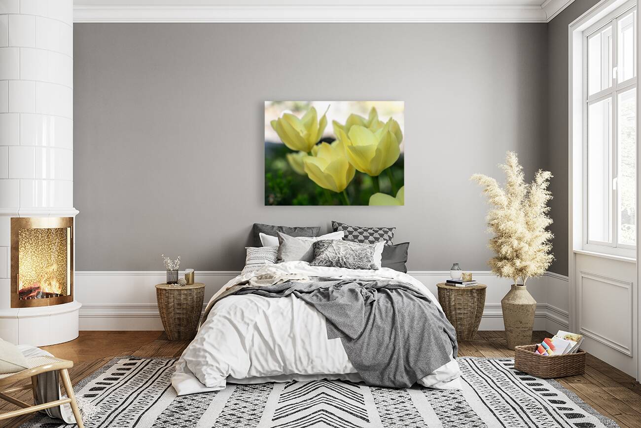 Dreamlike Reproduction