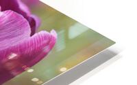 Big Purple Tulip HD Metal print