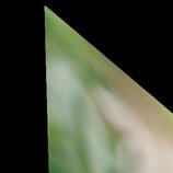 Teasers HD Metal print