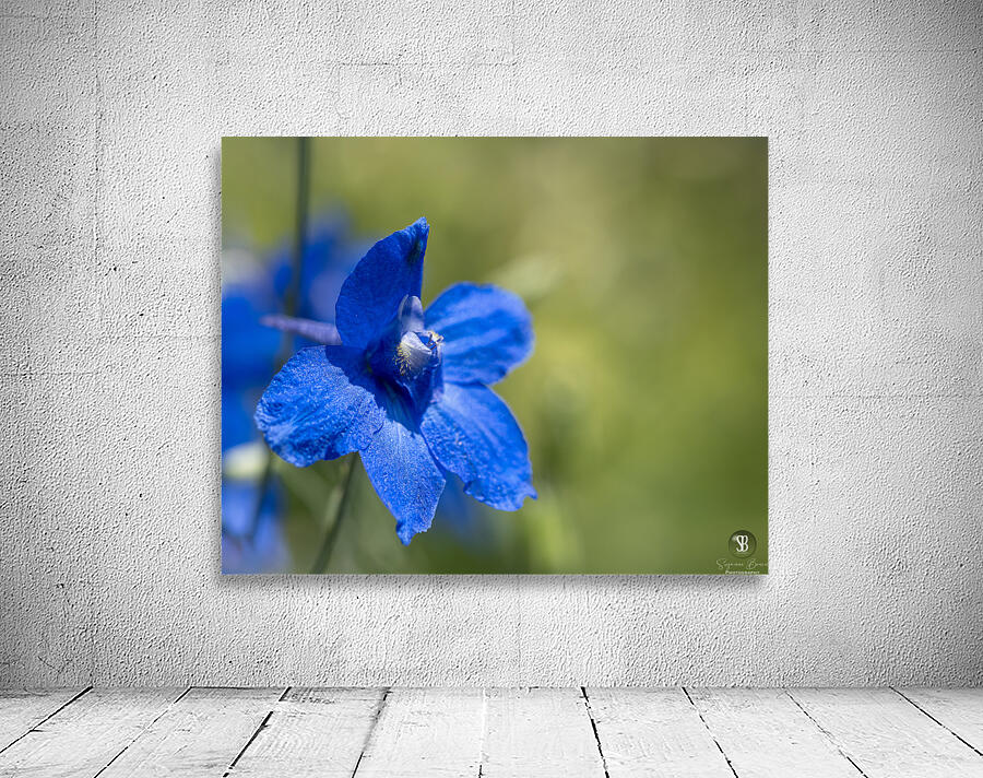 Blue Mirror Wall Preview