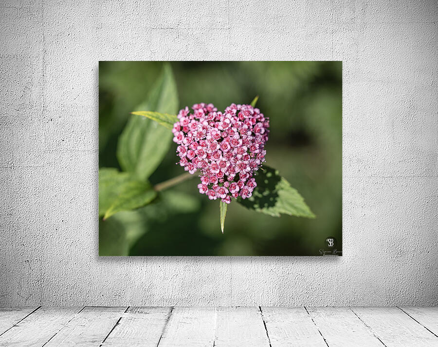 Candlelight Wall Preview