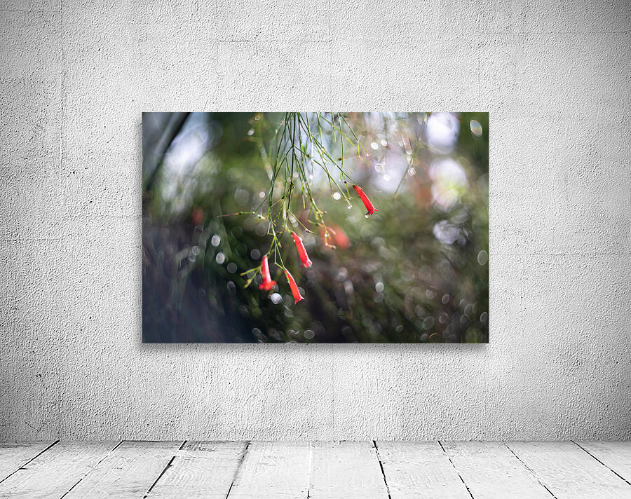 Firecrackers Wall Preview