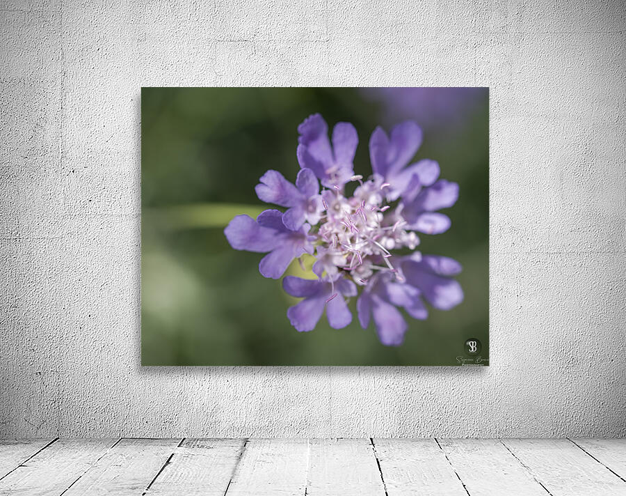 Fluttering Wall Preview