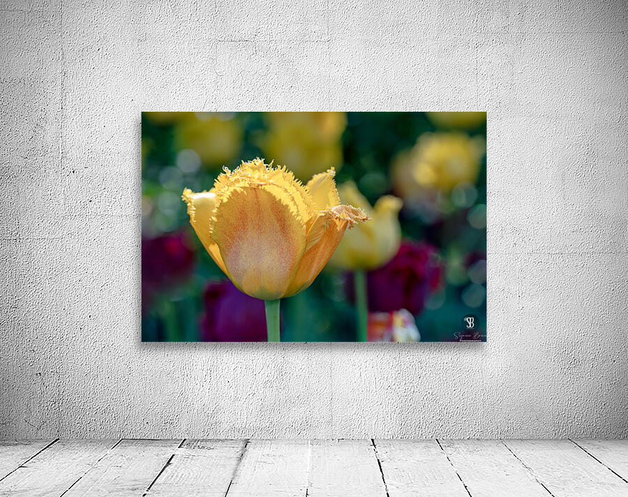 Fringed Blossom Wall Preview