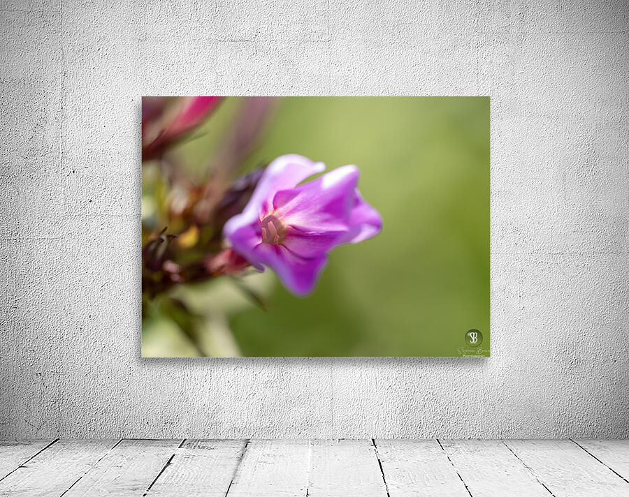 Good Day Wall Preview