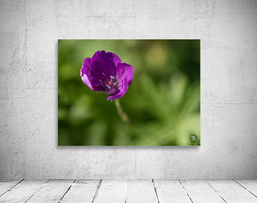 Little Beads Wall Preview