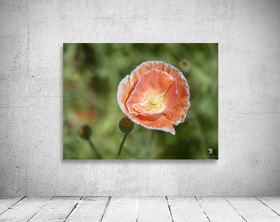 Love Me Wall Preview