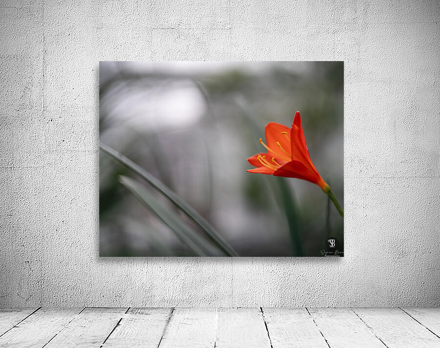 Naked Lady Wall Preview