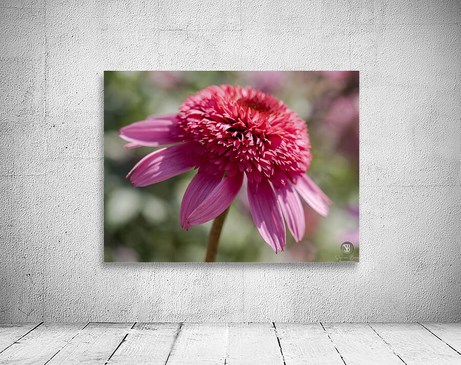 Large Hearted Wall Preview