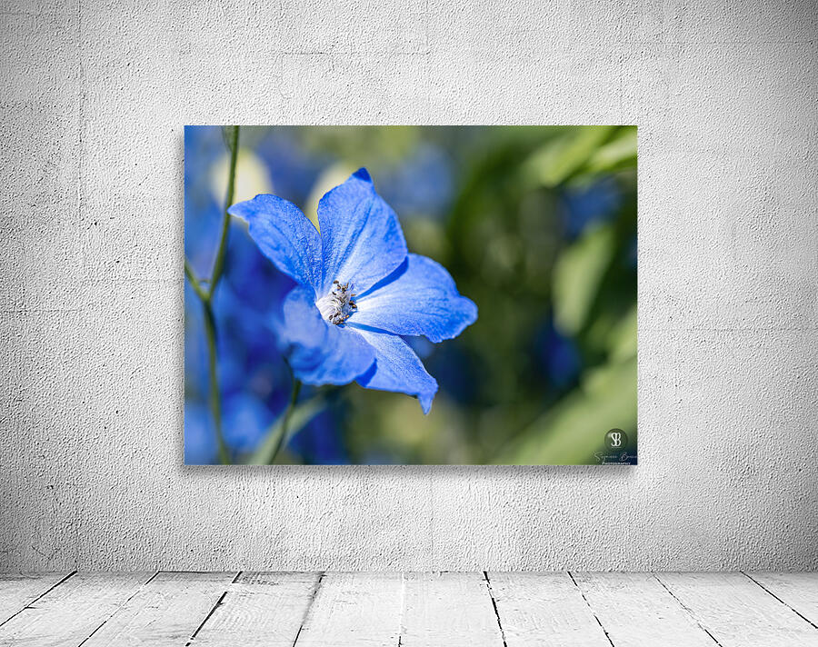 Guardian Lavender Wall Preview