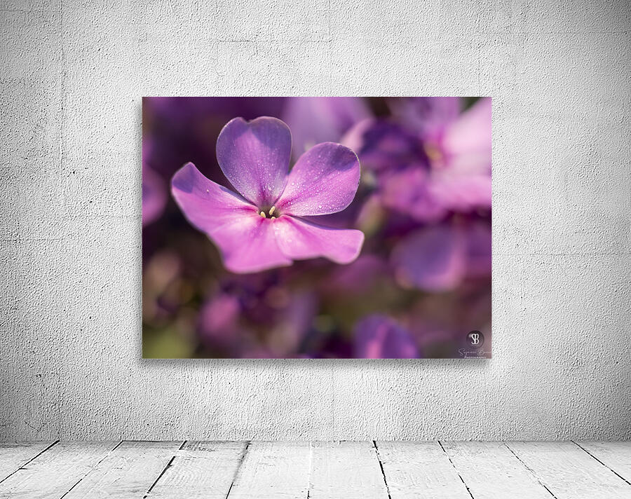 Pink World Wall Preview