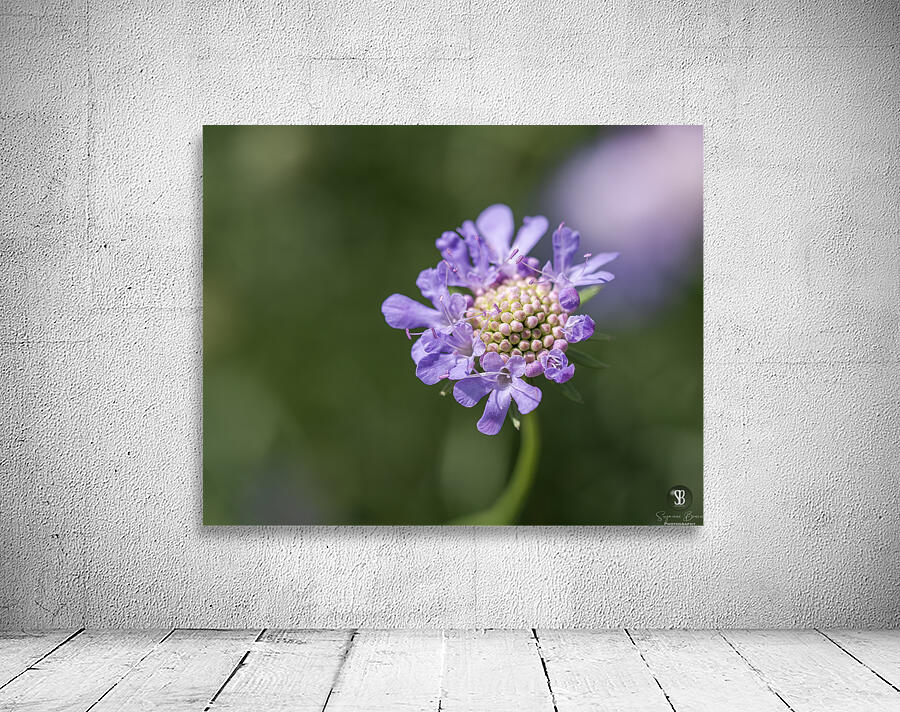 Purple Pincushion Wall Preview