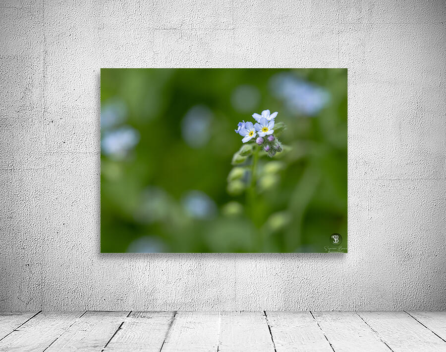 Tiny Bouquet Wall Preview