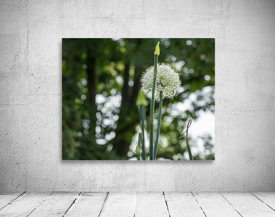 Enchanted Wall Preview