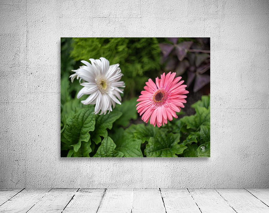 Pearl Petals Wall Preview