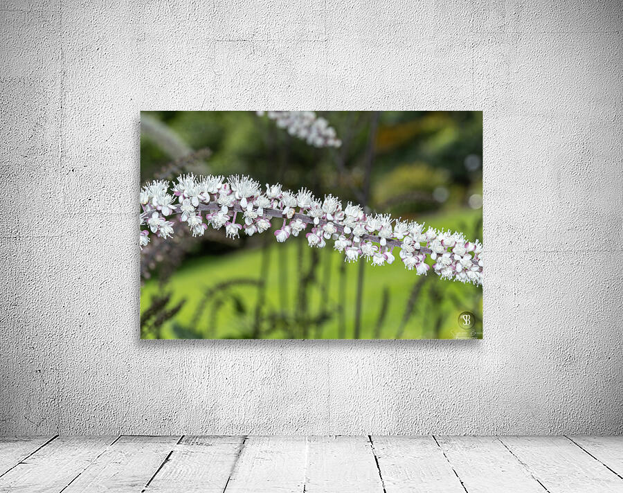 Fairy Candle Wall Preview