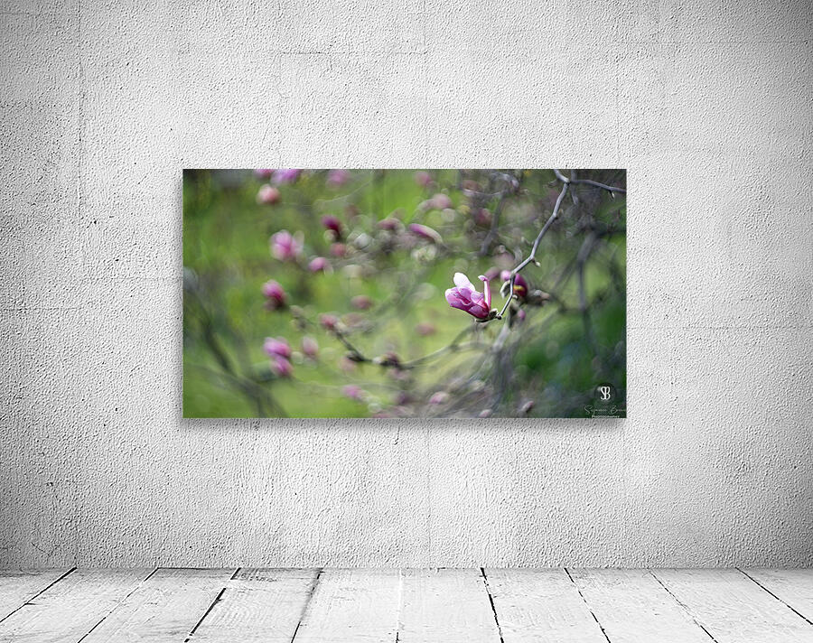 Roseate Whispers Wall Preview