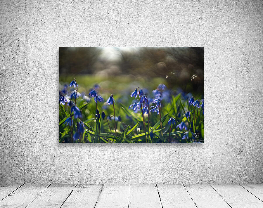 Meadow Melody Wall Preview