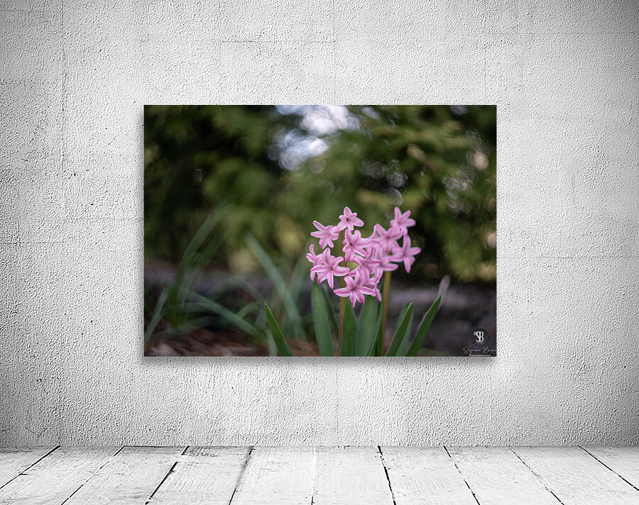 Pink Bliss Wall Preview