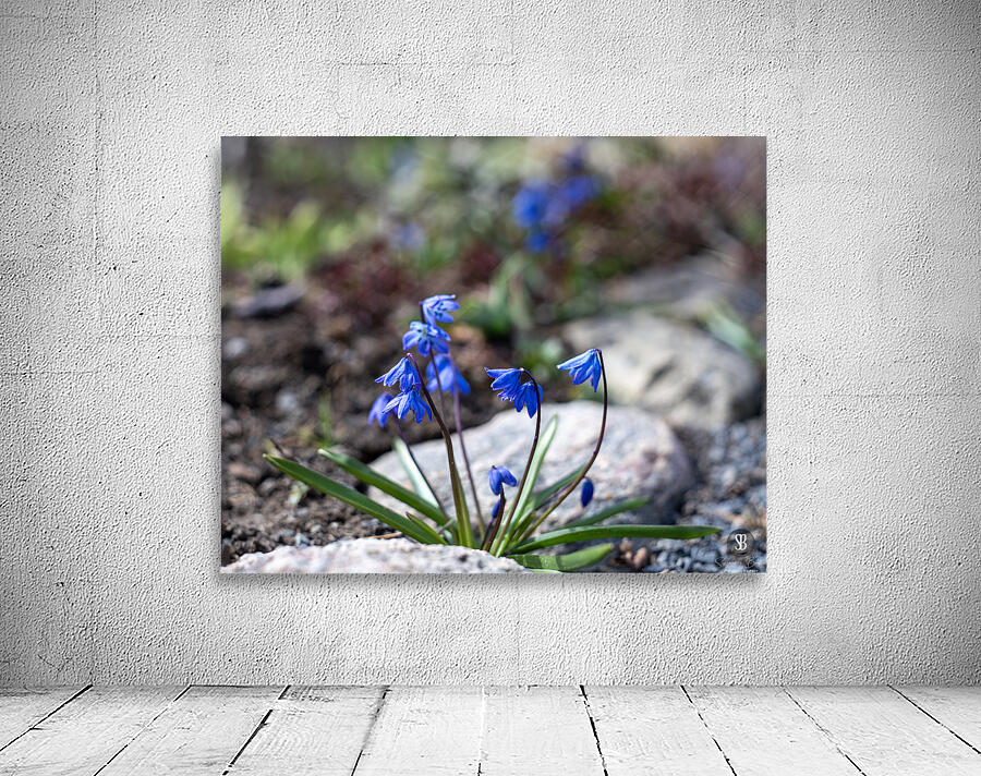 Ethereal Blossoms Wall Preview