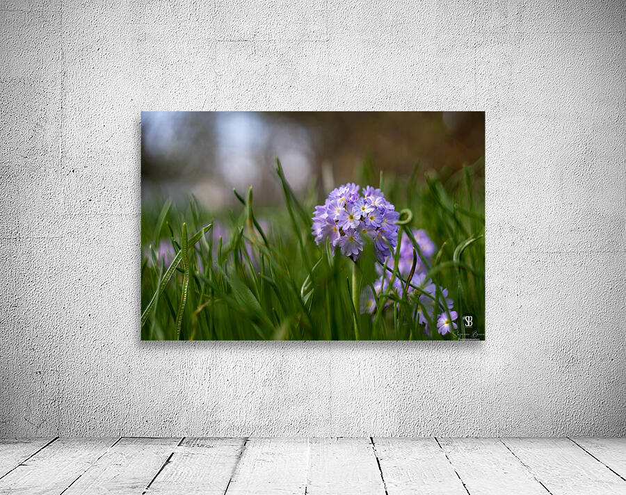 Purple Hues Wall Preview