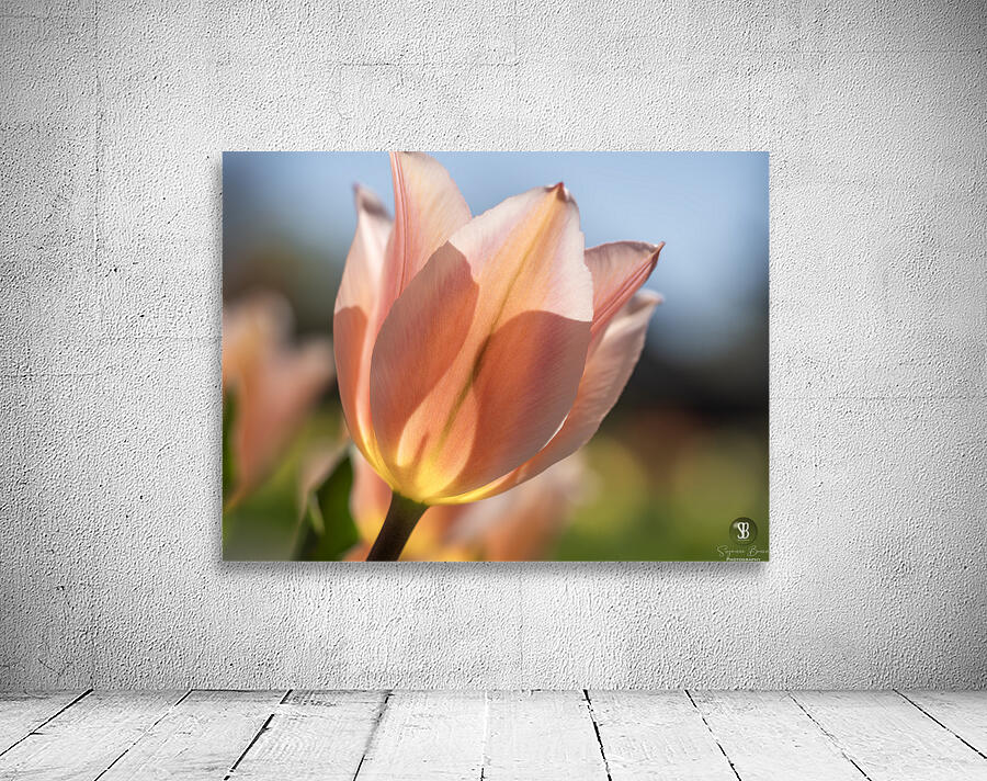 Radiant Reverie Wall Preview