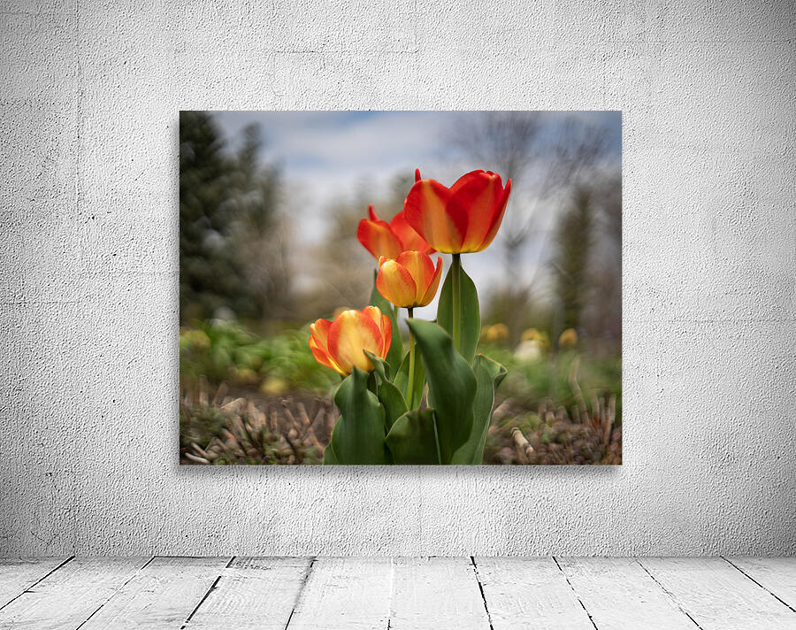 Sunshine Dance Wall Preview