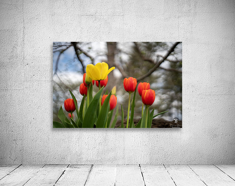 Sunlit Symphony Wall Preview