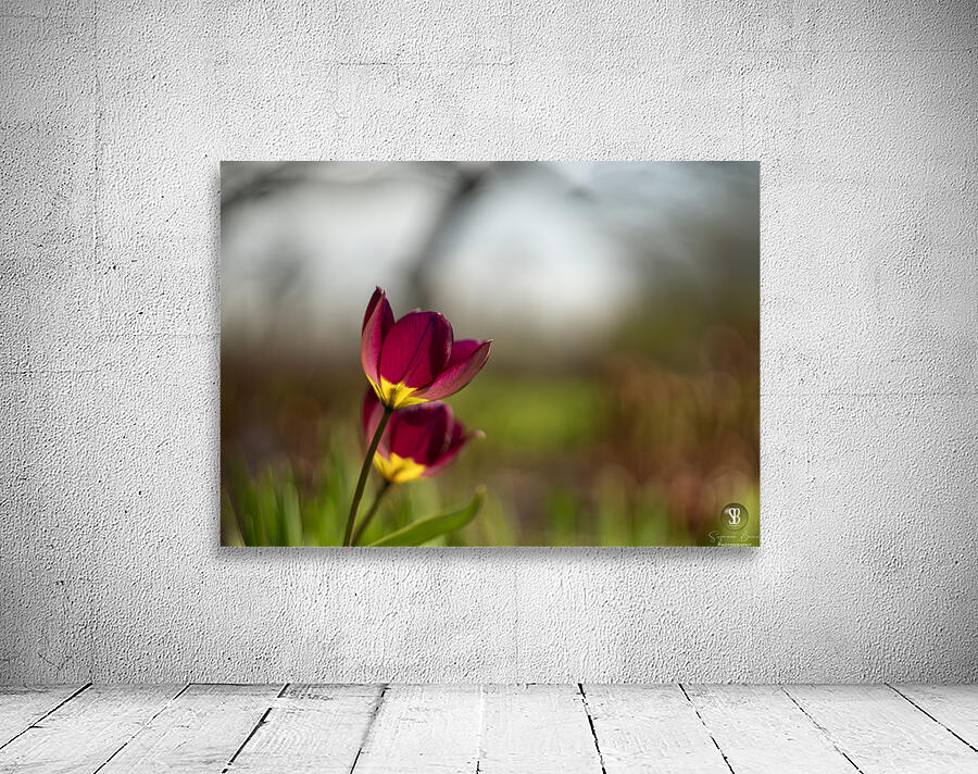 Wine Stained Whispers Wall Preview