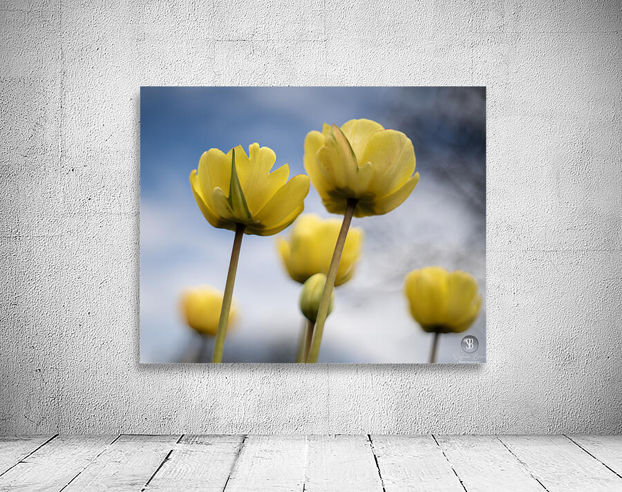 Yellow Cascade Wall Preview