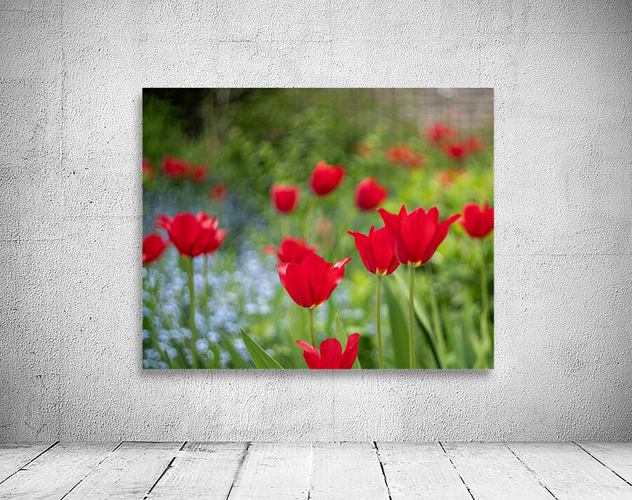  SBP4390 Wall Preview