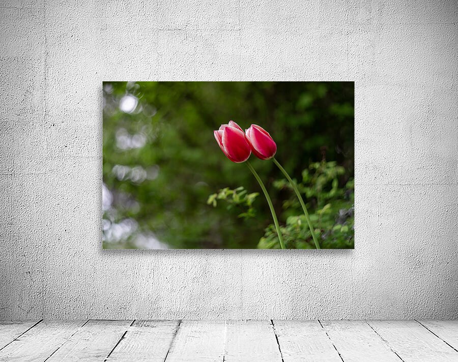 SBP8211 Wall Preview