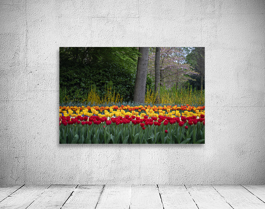 SBP5724 Wall Preview