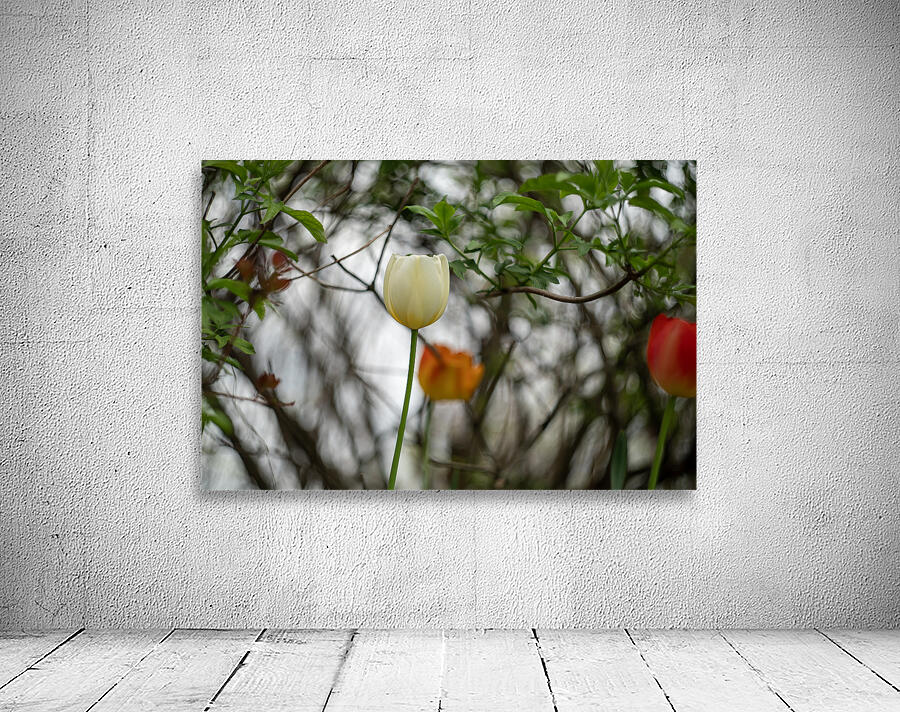 SBP8285 Wall Preview