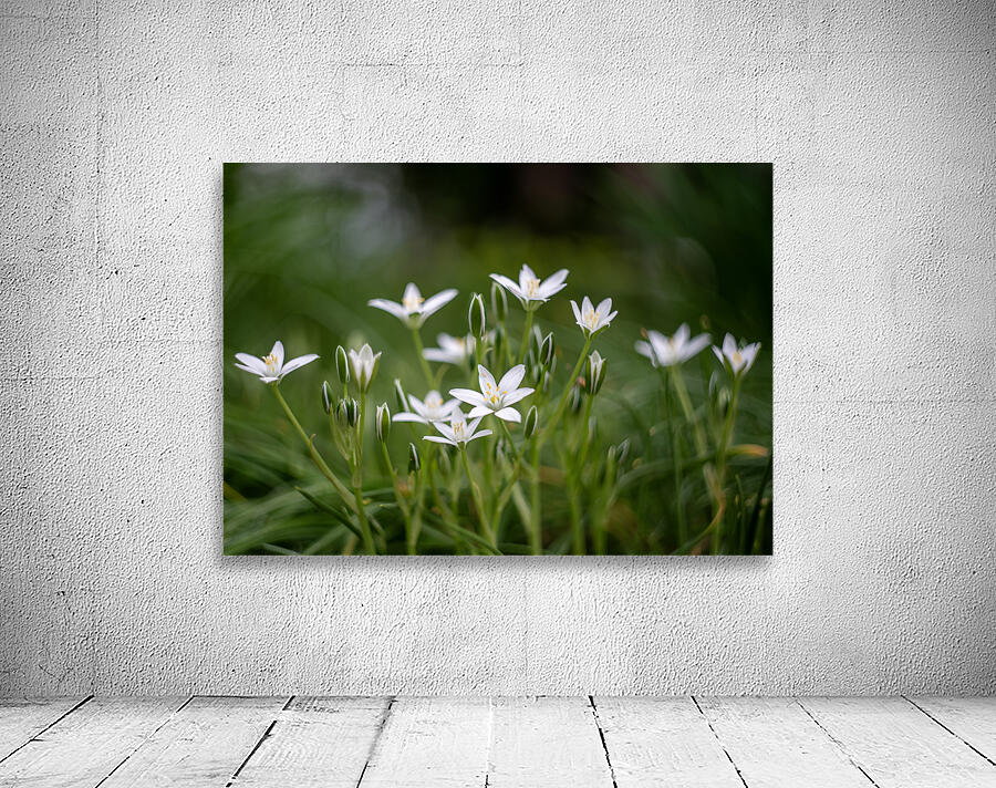 SBP8139 Wall Preview