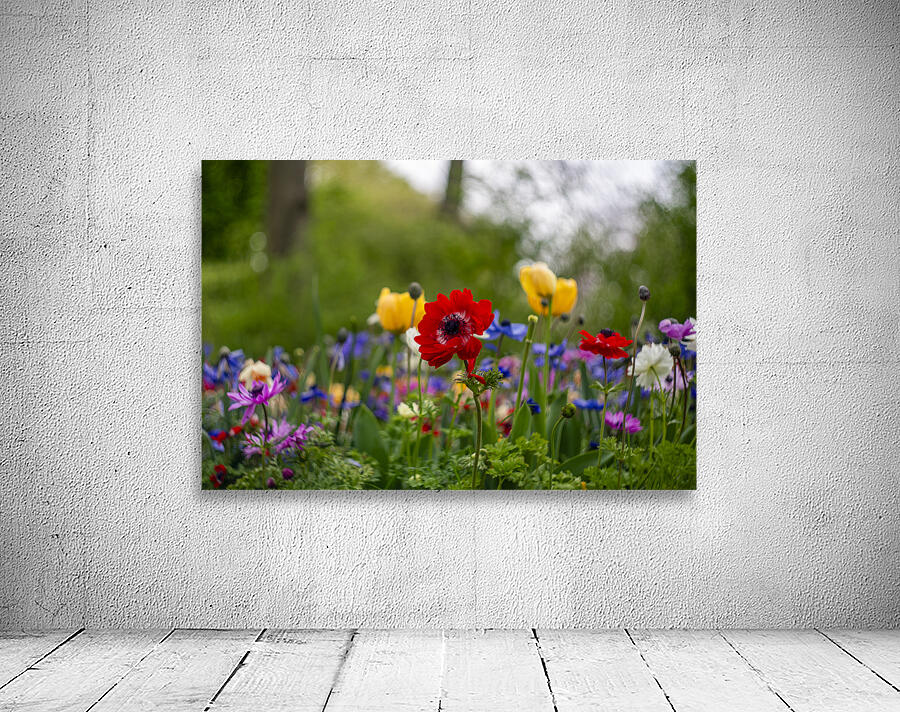 SBP5871 Wall Preview