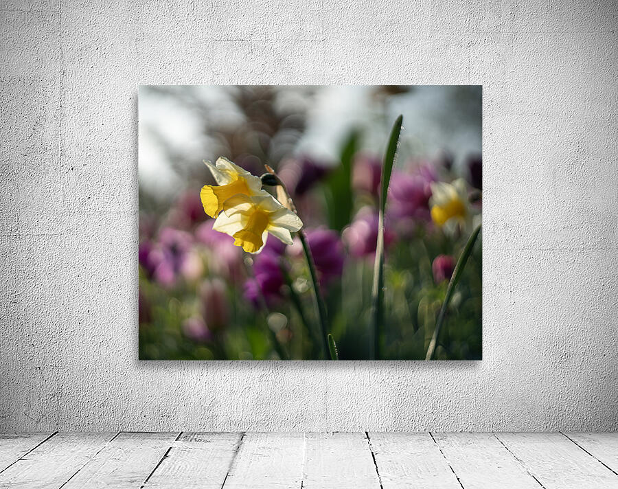 SBP5470 Wall Preview