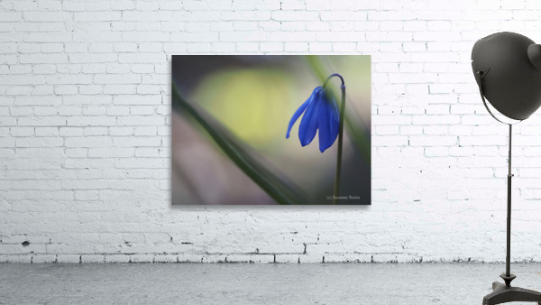 Tiny Blue Umbrella Wall Preview