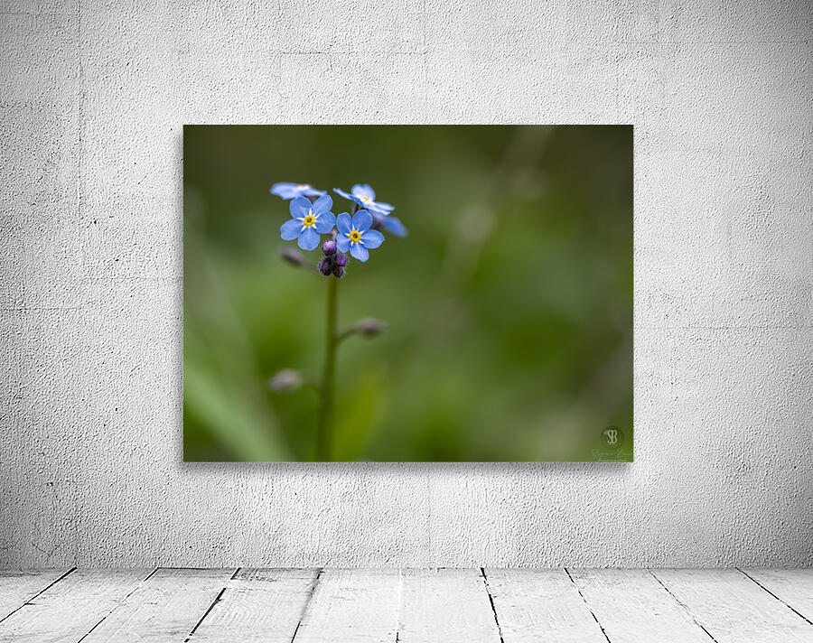 Never Forget Wall Preview