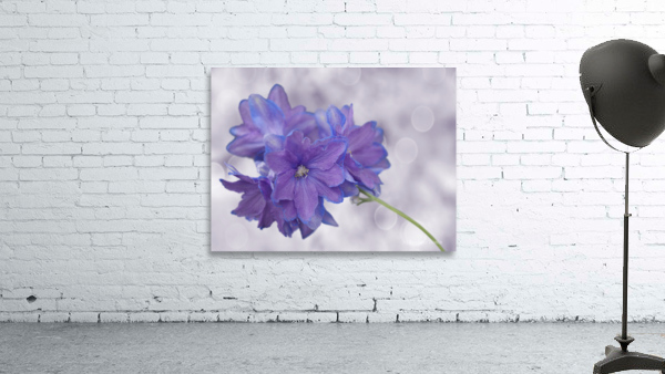 Pretty Me Wall Preview