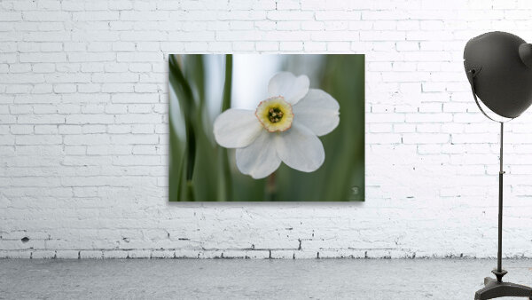 New Beginnings Wall Preview