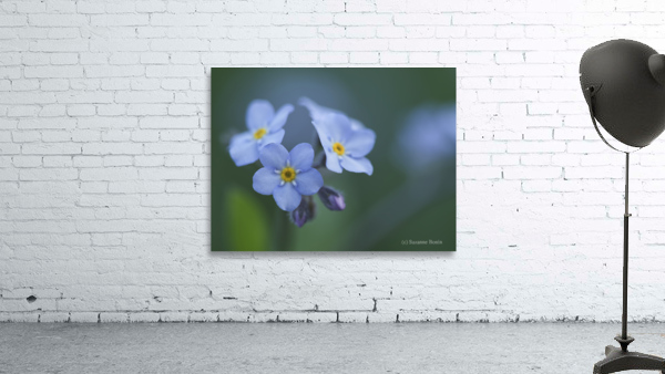 Ladies In Blue Wall Preview