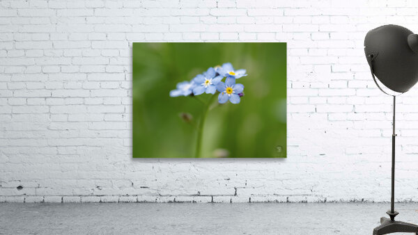 Small World Wall Preview