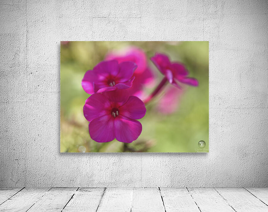 Summertime Wall Preview