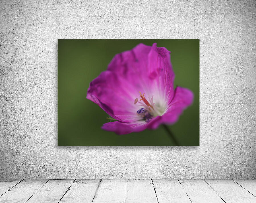 The Heart Of It Wall Preview