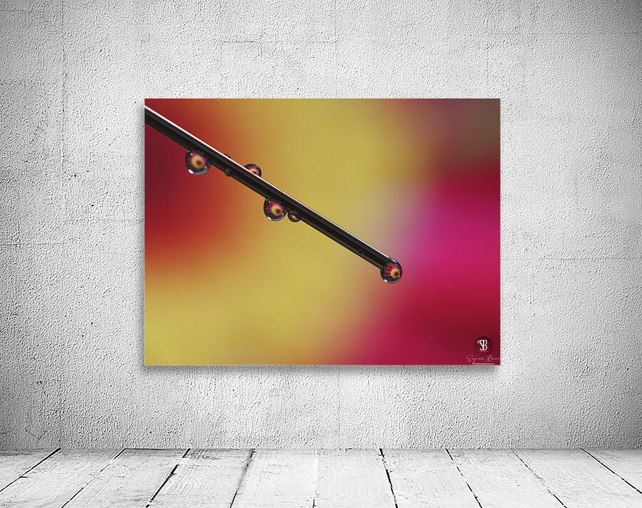 Experiment Wall Preview