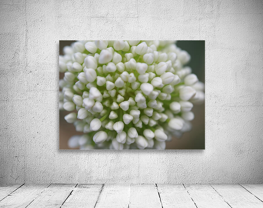 Another World Wall Preview