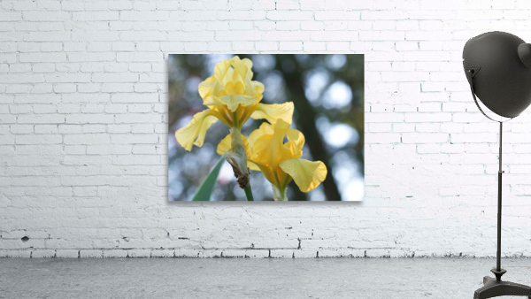 Water Flag Wall Preview