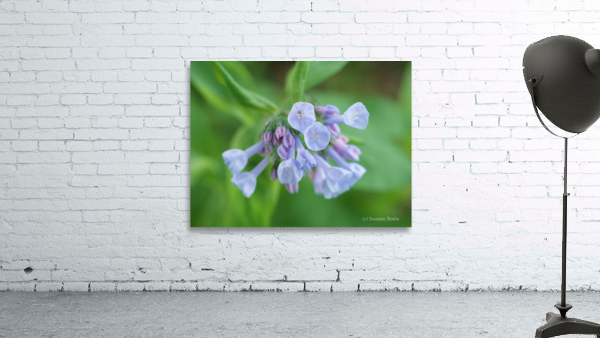 Little Bells Wall Preview